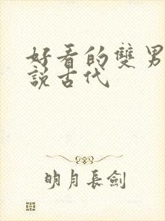好看的双男主小说古代