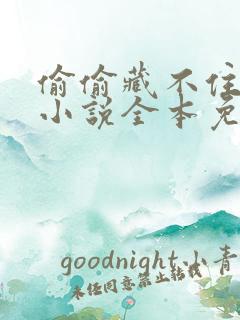 偷偷藏不住竹己小说全本免费阅读