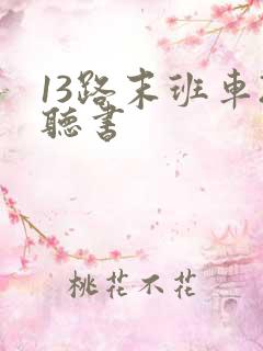 13路末班车2听书