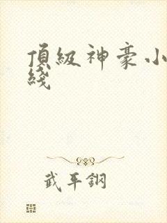 顶级神豪小说在线