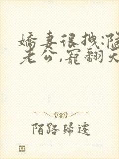 娇妻很拽:隐婚老公,宠翻天