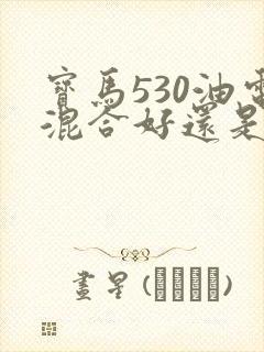 宝马530油电混合好还是燃油的好