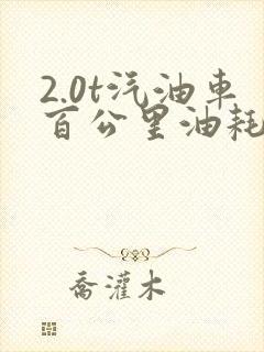 2.0t汽油车百公里油耗多少