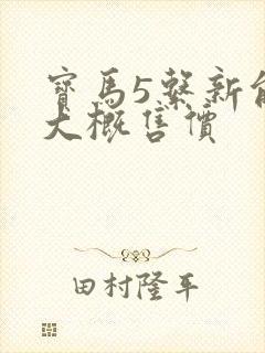 宝马5系新能源大概售价