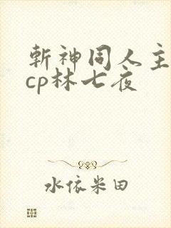 斩神同人主攻文cp林七夜