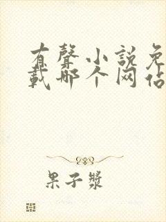 有声小说免费下载哪个网站好