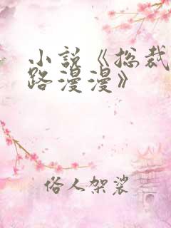 小说《总裁追妻路漫漫》