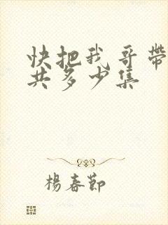 快把我哥带走一共多少集