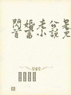 闪婚老公是千亿首富小说免费阅读