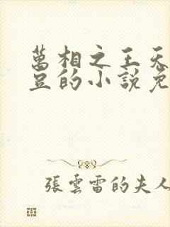 万相之王天蚕土豆的小说免费阅读