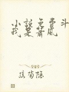 小说免费斗破之我是萧风 小说免费斗破之我是萧风
