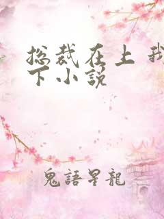 总裁在上 我在下小说