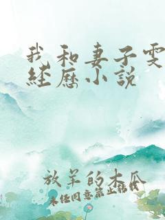 我和妻子雯雯的经历小说