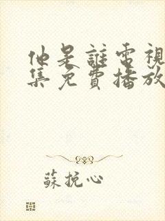 他是谁电视剧全集免费播放完整版