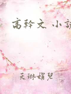高干文 小说
