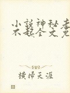 小说神秘老公惹不起全文免费阅读