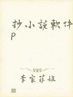 抄小说软件app