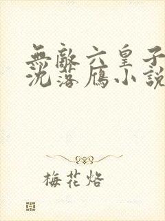 无敌六皇子云铮沈落雁小说全集完整版