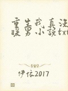 重生我真没想当暖男小说txt