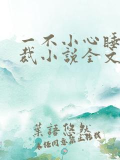 一不小心睡了总裁小说全文免费阅读