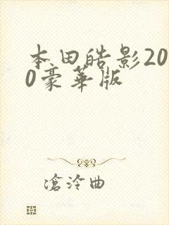 本田皓影2020豪华版