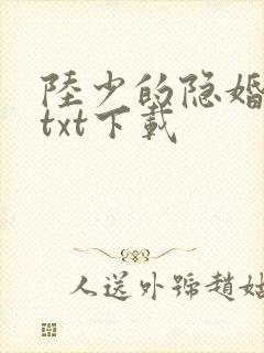 陆少的隐婚罪妻txt下载