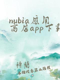 nubia应用商店app下载