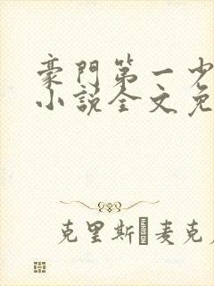豪门第一少奶奶小说全文免费阅读