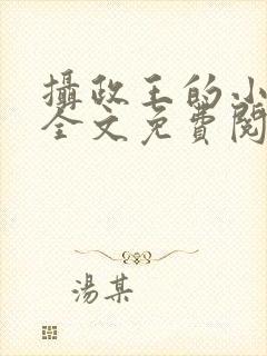 摄政王的小王妃全文免费阅读
