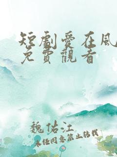短剧爱在风雨后免费观看