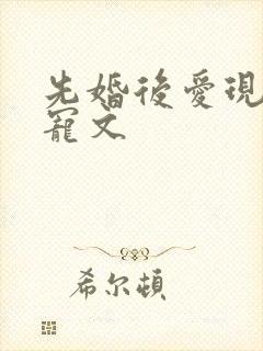 先婚后爱现言甜宠文