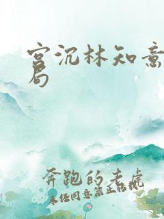 宫沉林知意大结局