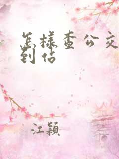 怎样查公交实时到站