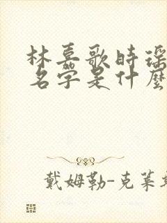 林嘉歌时瑶小说名字是什么