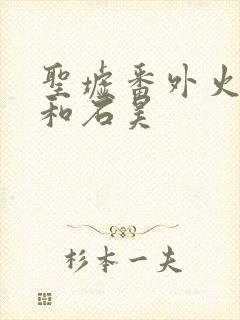圣墟番外火灵儿和石昊