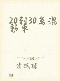 20到30万混动车