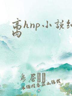高hnp小说纯肉