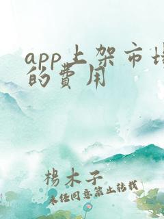 app上架市场的费用