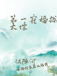 第一宠婚总裁别太坏 第一宠婚总裁别太坏