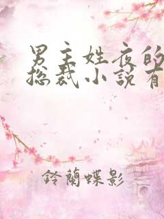 男主姓夜的霸道总裁小说有