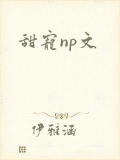 甜宠np文