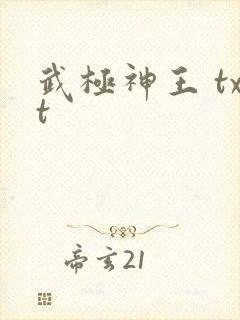 武极神王 txt