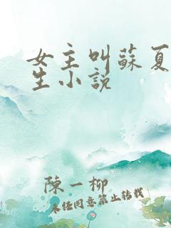 女主叫苏夏的重生小说