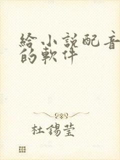 给小说配音赚钱的软件