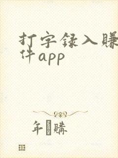 打字录入赚钱软件app 打字录入赚钱软件app
