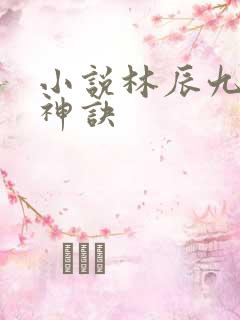 小说林辰九天斩神诀
