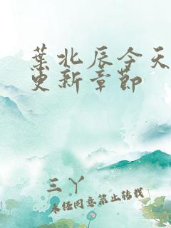 叶北辰今天最新更新章节 叶北辰今天最新更新章节