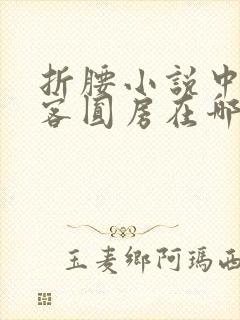 折腰小说中蓬莱客圆房在哪章 折腰小说中蓬莱客圆房在哪章
