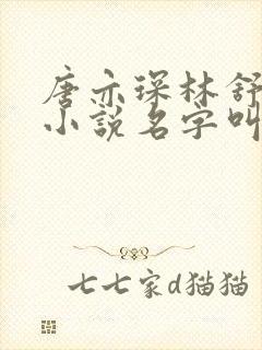 唐亦琛林舒温晴小说名字叫什么