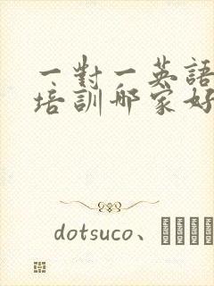 一对一英语口语培训哪家好
